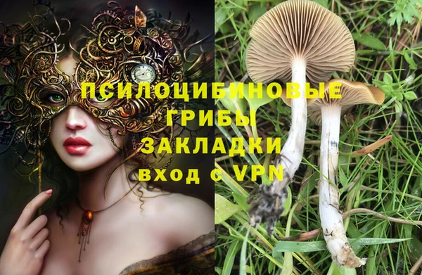 MESCALINE Алзамай