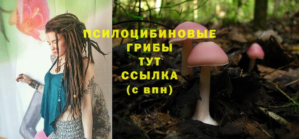 тгк Алексин